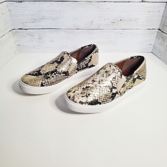 𝅺STEVE Madden Safary Snakeskin Slip On Sneakers - Picture 4 of 8